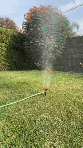 Manguera de jardín 10m